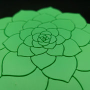 Rosette Succulent Coaster