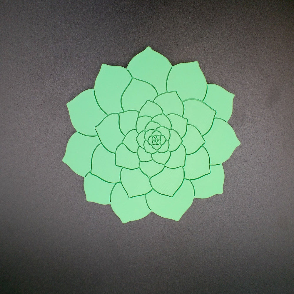 Rosette Succulent Coaster