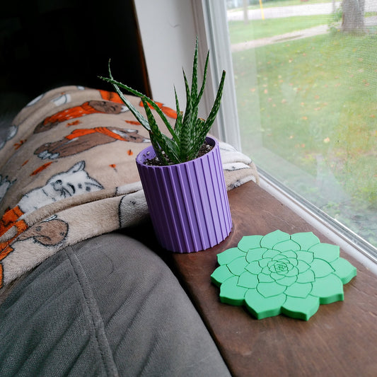 Rosette Succulent Coaster
