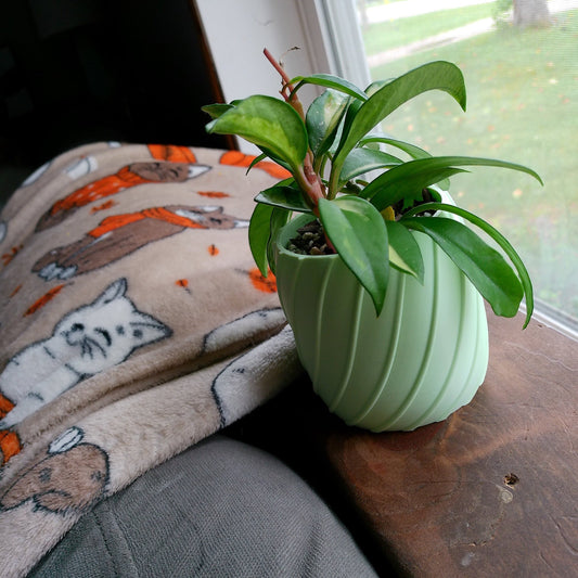 Willow Planter