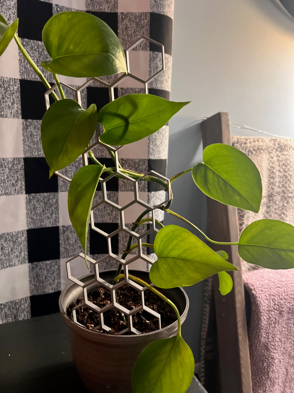 Honeycomb Trellis