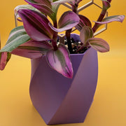 Petal Planter