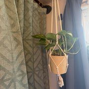 Haven Handmade Macramé Plant Hanger