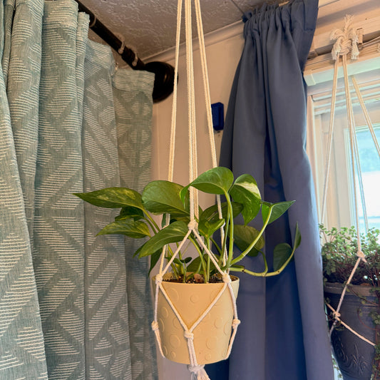 Haven Handmade Macramé Plant Hanger