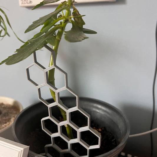Honeycomb Trellis